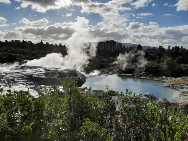 istock Te Puia Pohutu Geyser Spring 1342104278