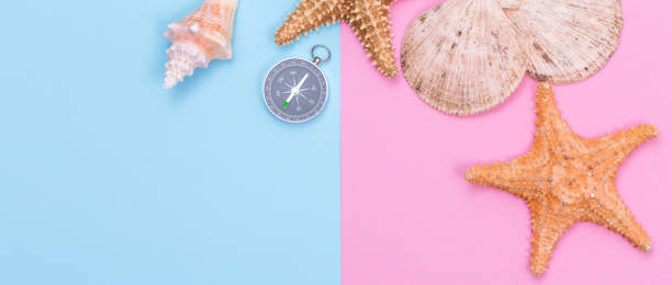 istock Starfish, seashell and compass on pastel colored paper texture 1342105841