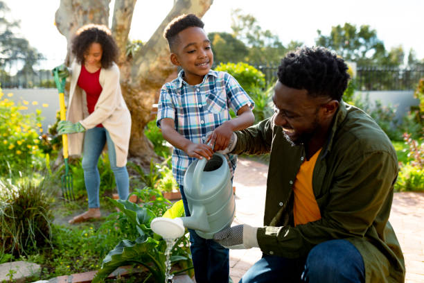 glücklicher afroamerikanischer vater und sohn, die gemeinsam pflanzen gießen - gärtnern stock-fotos und bilder