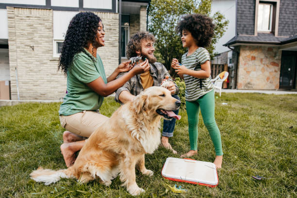 istock 6 Types of Home Loans Which One Is Right for You? 1342111908