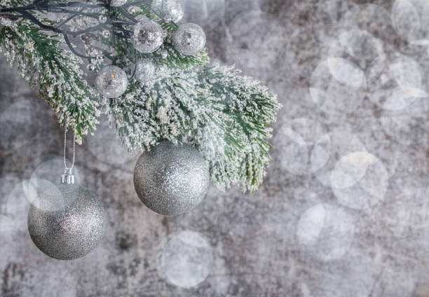 istock pine branch with christmas tree decorations on grey background 1342112349
