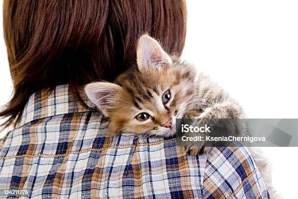 Foto de Little Gengibre Um Gatinho Deitado No Ombro e mais fotos de stock de Adulto - Adulto, Amarelo avermelhado claro, Amizade