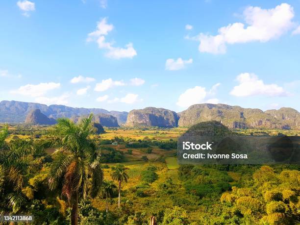Viñales Valley Stock Photo - Download Image Now - Mogote, Agricultural Field, Agriculture