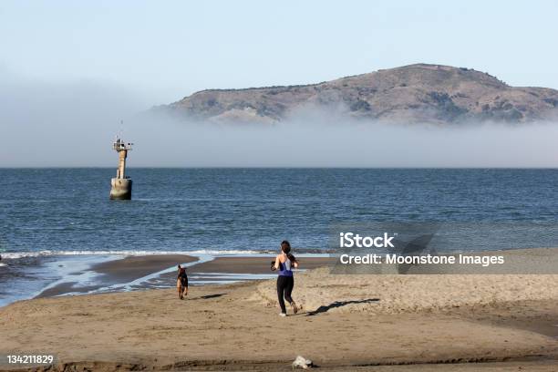 Foto de Baía De São Francisco Na Califórnia Eua e mais fotos de stock de Adulto - Adulto, América do Norte, Animal