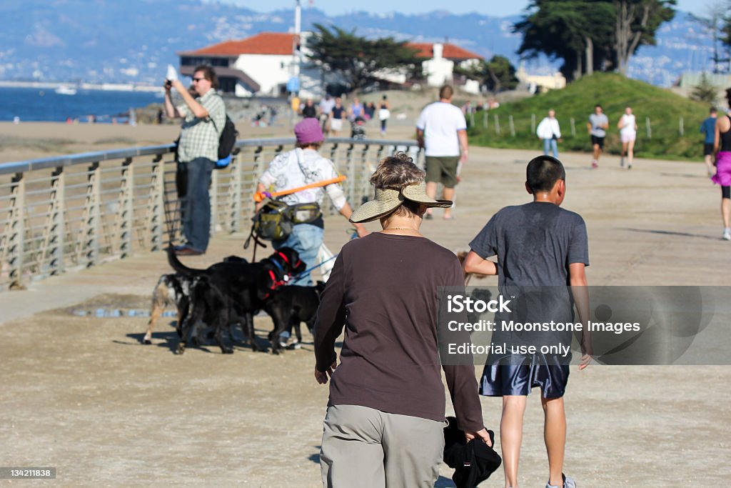 Crissy Field w San Francisco, Kalifornia - Zbiór zdjęć royalty-free (Ameryka)