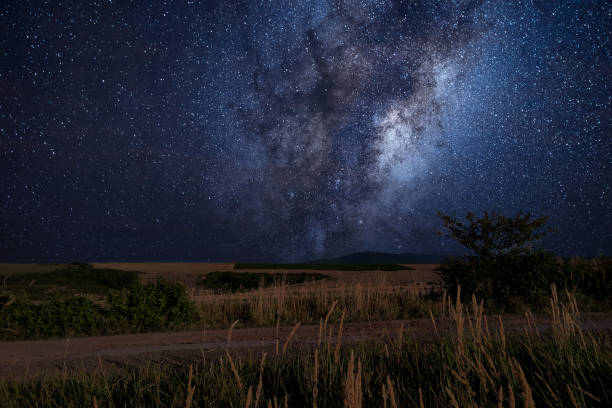 istock Starry sky over rural landscape 1342119977