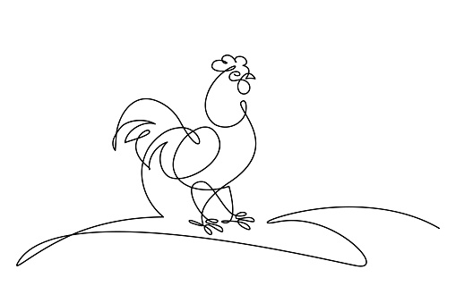 Rooster in continuous line art drawing style. Cock in the meadow minimalist black linear sketch isolated on white background. Vector illustration