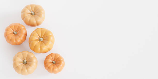 istock Pumpkins with copy space, white background for autumn holidays, 3d render 1342121521