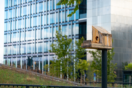 Bird house on the background of a multi-storey office building.