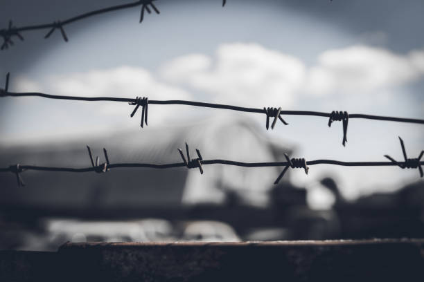 Barbed wire fence against dramatic, dark sky Barbed wire fence against dramatic, dark sky. holocaust stock pictures, royalty-free photos & images