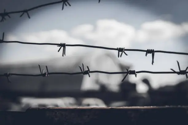 Barbed wire fence against dramatic, dark sky.