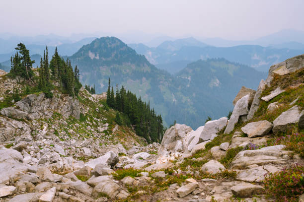 istock Smokey alpine views in the north cascade mountains 1342121877