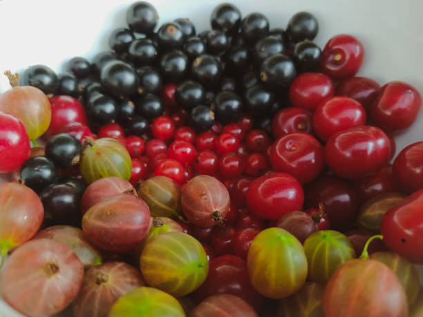 istock Mixed of fresh berries closeup 1342122015