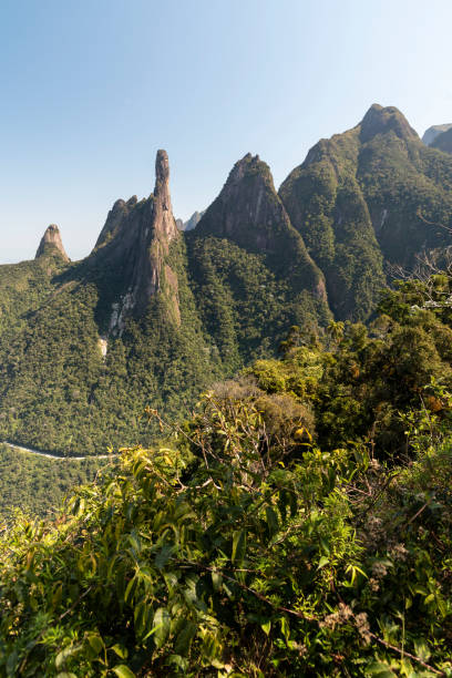 istock Beautiful green rainforest landscape with sharp rocky mountains 1342122045