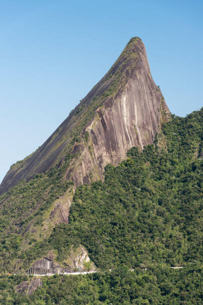 istock Beautiful green rainforest landscape with sharp rocky mountains 1342122071