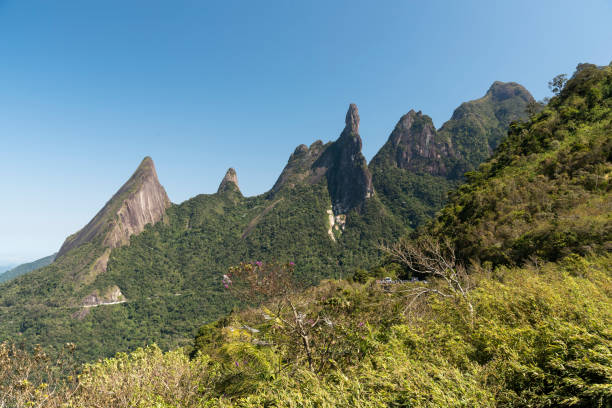 istock Beautiful green rainforest landscape with sharp rocky mountains 1342122216