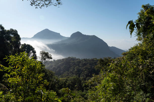 Beautiful view to green rainforest rocky mountains over clouds in Rio de Janeiro, State of Rio de Janeiro, Brazil