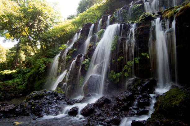 istock Bali nature waterfalls. Bali, Indonesia 1342123322
