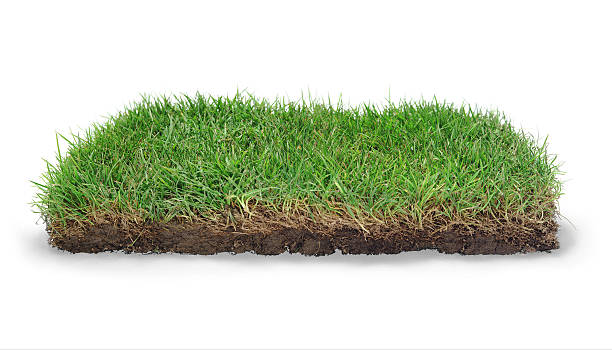 istock Clod of earth with grass, white background 134212366