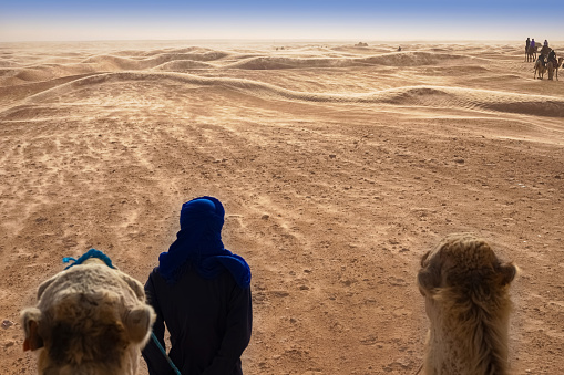 Sahara Desert, Tunisia. Berber stands with his back with a camel and looks into the distance in the Sahara Desert during a strong wind, a sandstorm.