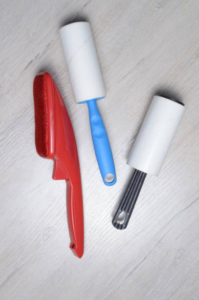 istock brushes for cleaning clothes. sticky and a bristled brush, lie on a light-colored countertop. 1342127574