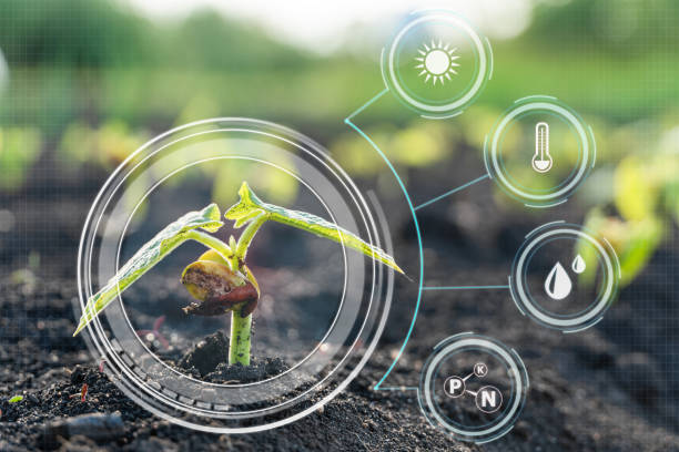 istock Smart farming with IoT,Growing corn seedling with infographics. 1342132489