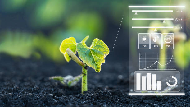 Smart farm technology of monitoring the growth of sprout plants with design infographics stock photo