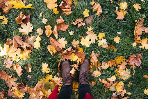 Colorful background of fallen leaves on green grass. Legs in brown boots on the autumn fallen yelllow and orange leaves on the ground in the forest. Seasonal scenic beautiful background