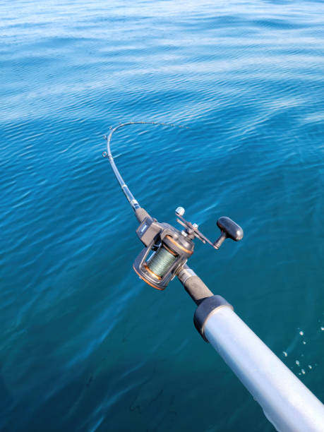 istock Fishing Rod and Reel In Lake 1342133504