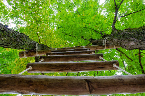 istock Old wooden kid's playground 1342134365