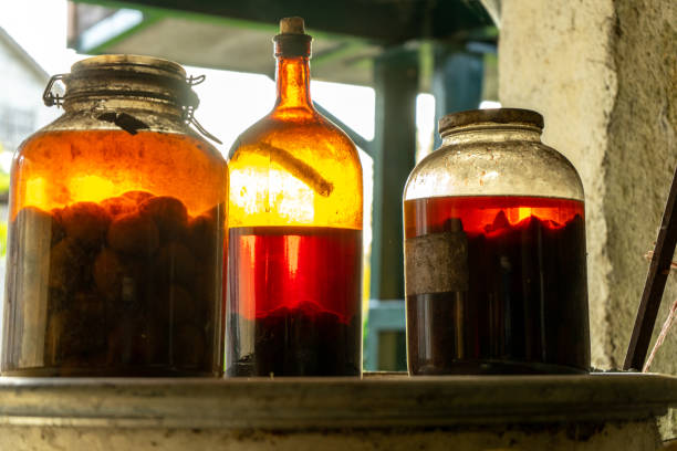 istock alcoholic beverages macerated in recent glass 1342135304