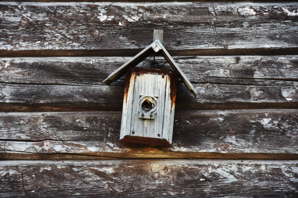 istock Old Weathered Hand Made Birdhouse 1342135445