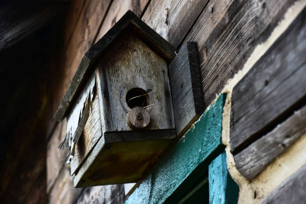 istock Old Weathered Hand Made Birdhouse 1342135504