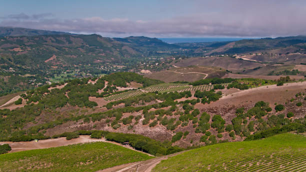 istock Drone Shot Looking Down Carmel Valley Towards the Ocean 1342141970