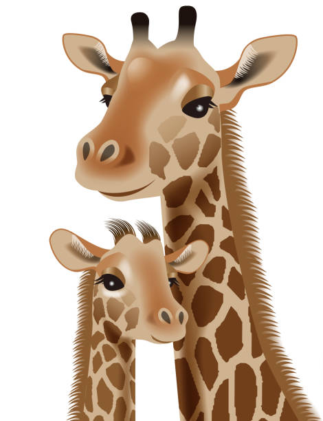 rodzic i dziecko żyrafy. ilustracja 3d. - giraffe pattern africa animal stock illustrations