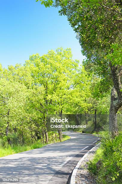 Foto de Country Road Passando Por Árvores Verdes Em Luz Do Sol e mais fotos de stock de Estrada Sinuosa