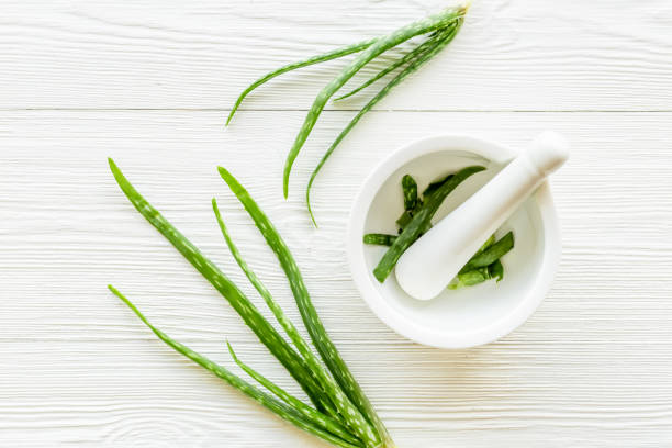 istock Aloe vera in white mortar with green leaves, top view 1342144173