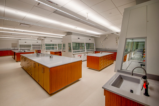 New lab with sinks and fume hoods.