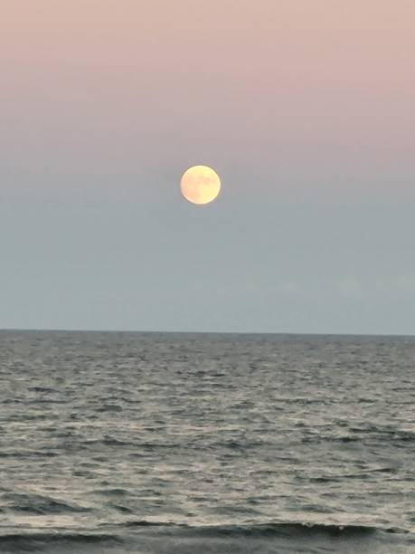 istock Full harvest moon over ocean 1342148308