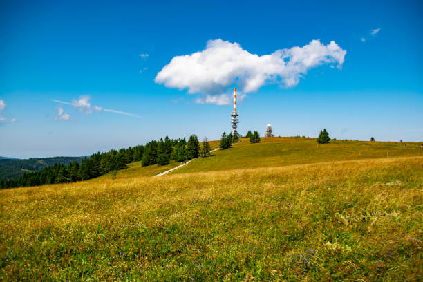 istock Distant view over green nature in Black Forest in summer - Feldberg, Germany 1342149397