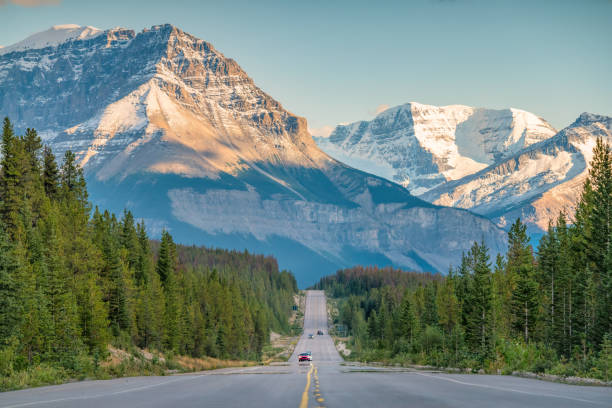 canadian rockies icefields parkway parco nazionale jasper - rocky mountains foto e immagini stock