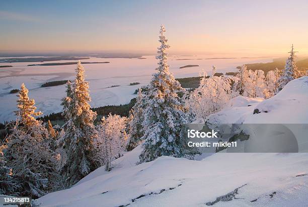 Photo libre de droit de Paysage Dhiver Au Coucher Du Soleil banque d'images et plus d'images libres de droit de Arbre - Arbre, Arctique, Colline