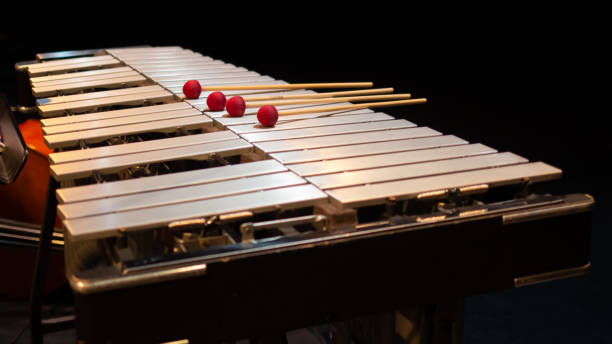 istock Vibraphonist playing jazz on stage jazz concert 1342158869