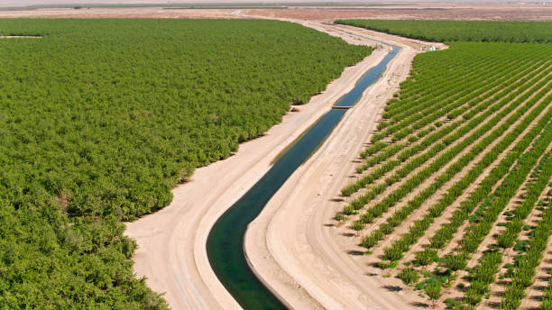 istock Irrigation Ditch Flowing Past Orchard 1342159605