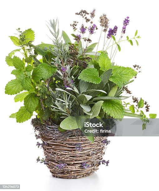 Photo libre de droit de Herbes Dans Un Panier banque d'images et plus d'images libres de droit de Fond blanc - Fond blanc, Phytothérapie, Couleur verte