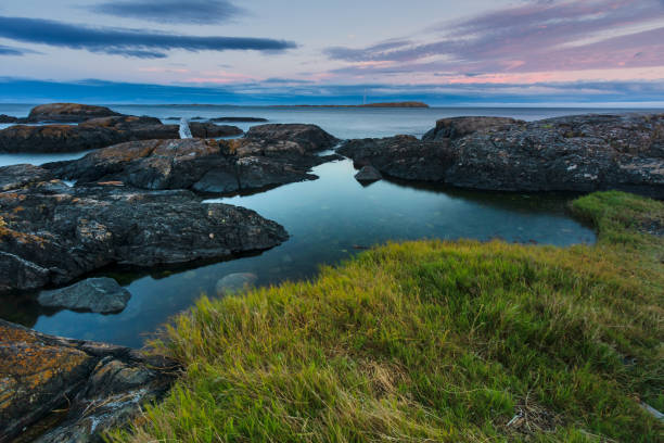 vancouver island coastline - canadian beach imagens e fotografias de stock