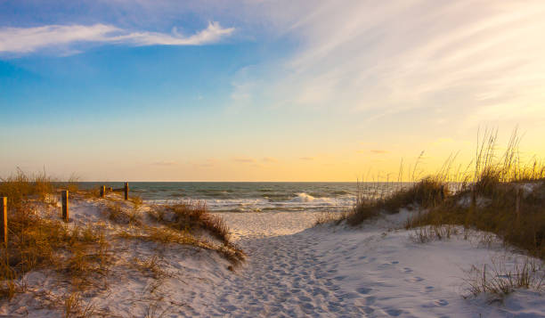 Beach Pathway to Sunset Pathway to the Gulf of Mexico at Sunset gulf of mexico photos stock pictures, royalty-free photos & images