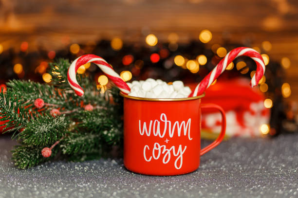 istock Hot chocolate with marshmallows. Gourmet hot chocolate milk. 1342166781