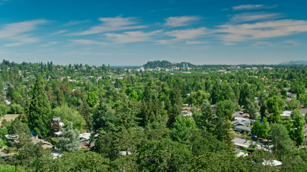 istock Houses Nestled Amid Evergreen Trees in Eugene, OR 1342166895