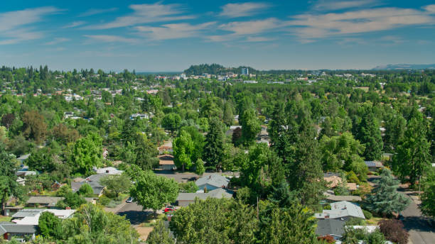 istock Aerial View of Southeast Eugene on a Sunny Morning 1342166896
